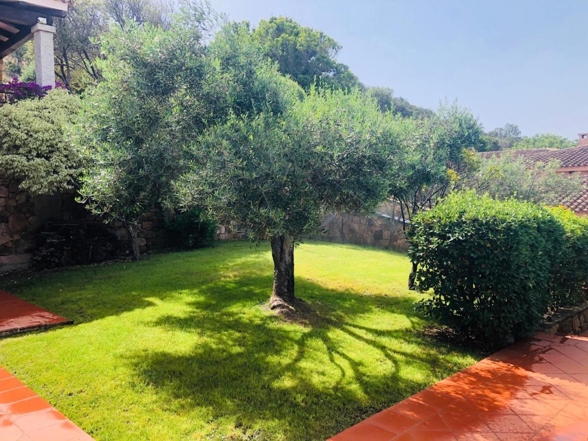 Villa Capo Coda Cavallo
